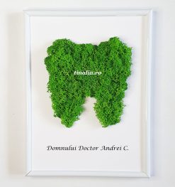 tablou licheni cadou medic stomatolog
